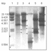 FIG. 7