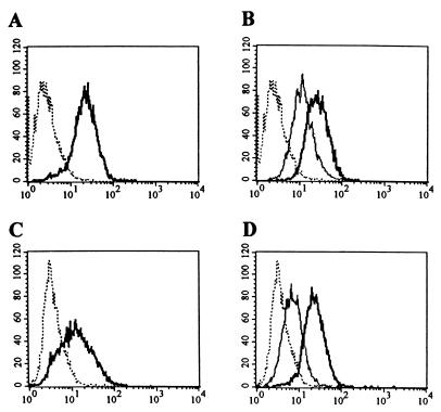 FIG. 7