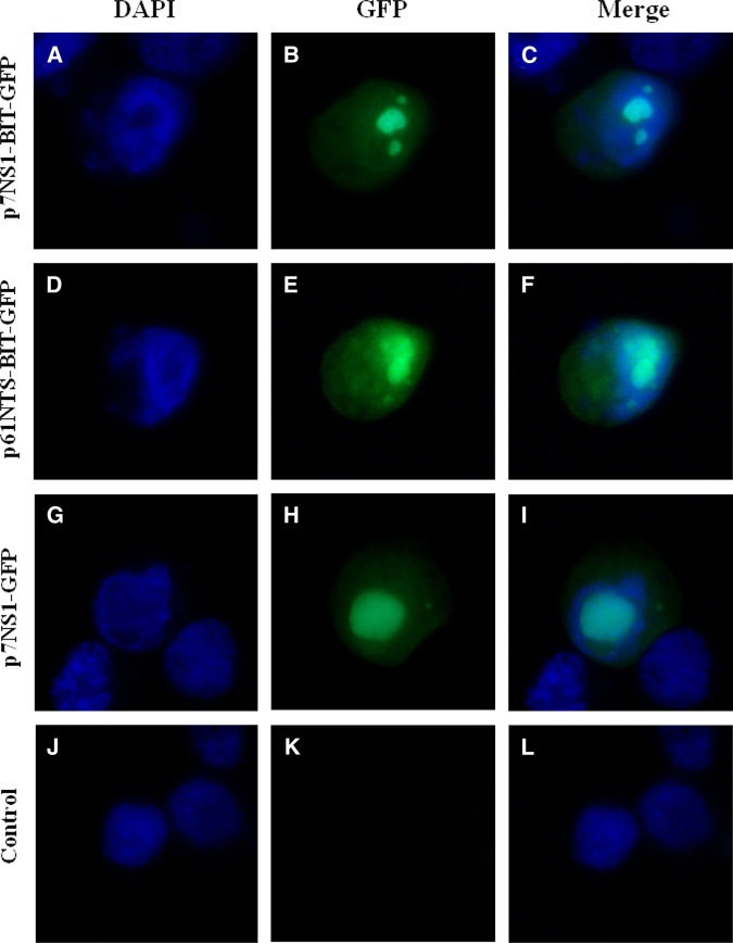 Figure 2.