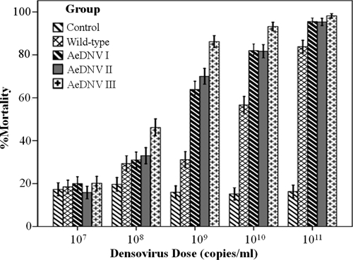 Figure 6.