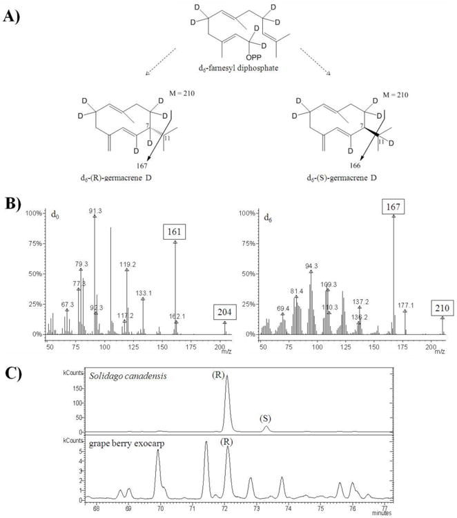 Fig. 8