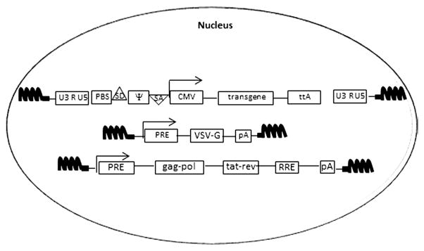 Figure 3.7