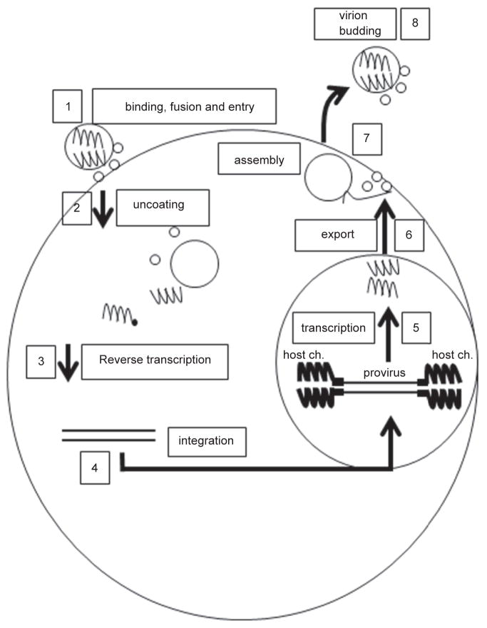 Figure 3.3