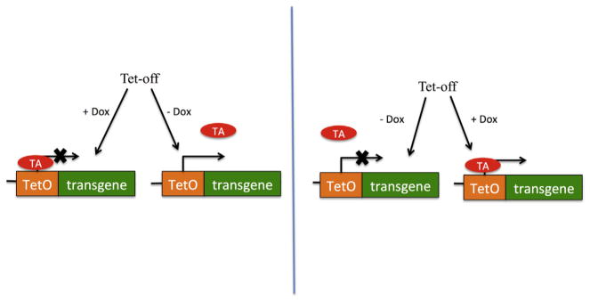 Figure 3.10