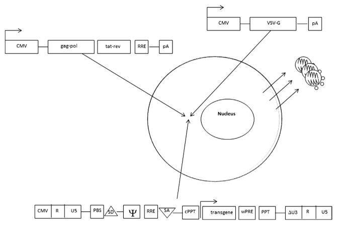 Figure 3.6