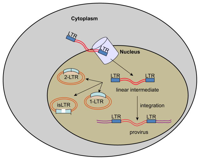 Figure 3.8