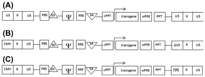 Figure 3.5