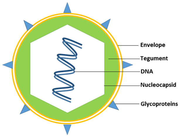 Figure 3.9