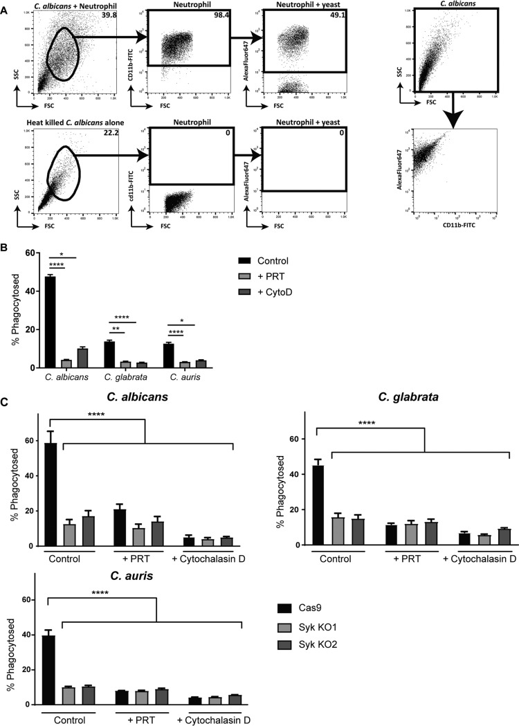 FIG 5