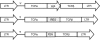 <b>Figure 1</b>