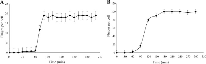 FIG 1