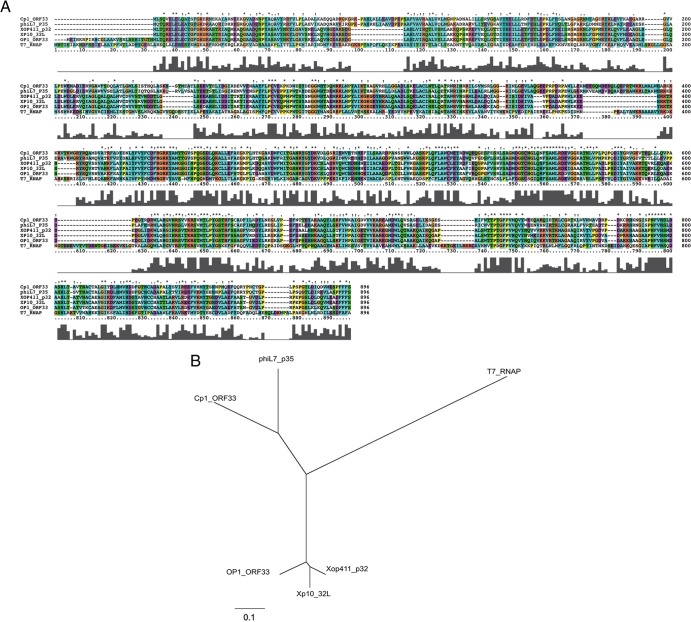 FIG 3