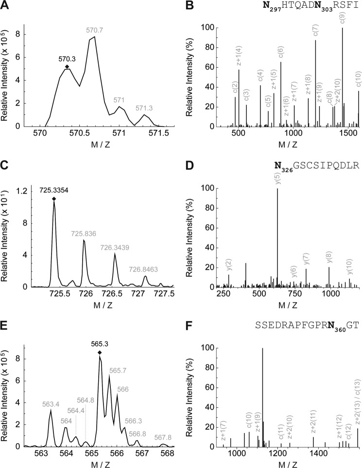 FIGURE 2.