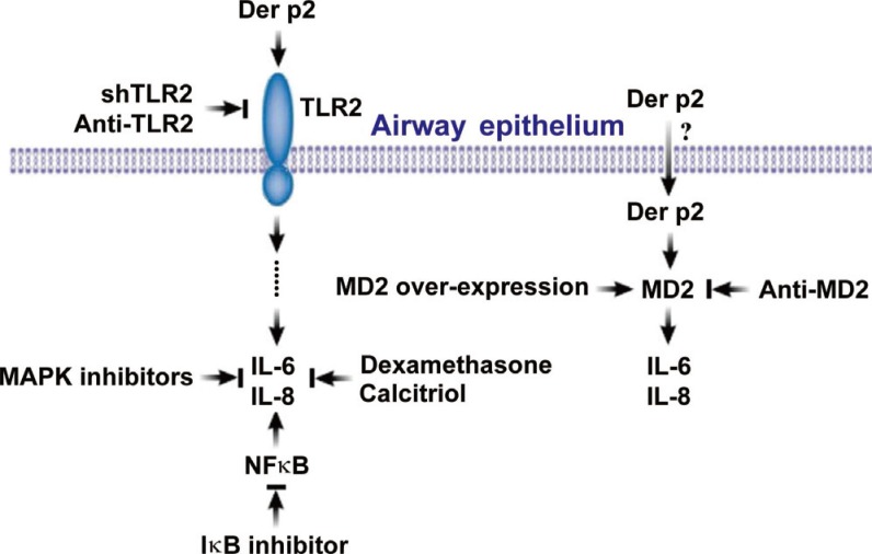 Fig. 8