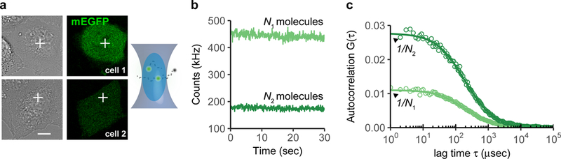 Figure 1: