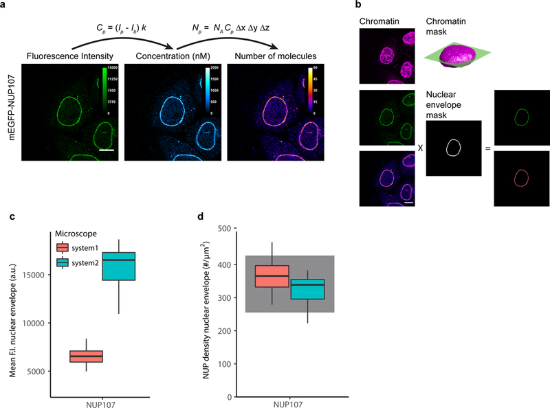 Figure 3: