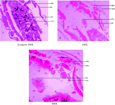 Figure 1. 