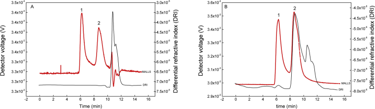 Figure 5