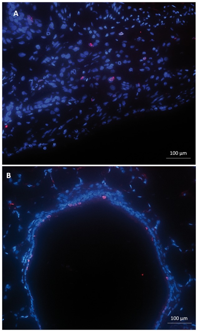 FIG. 6