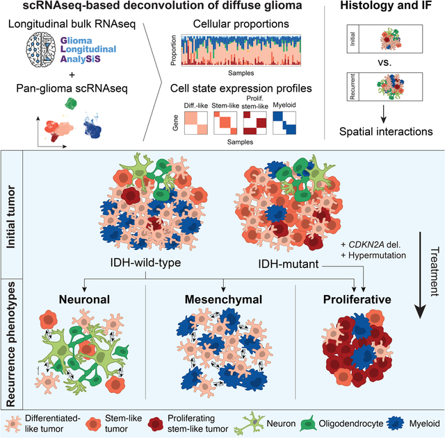 graphic file with name nihms-1803982-f0001.jpg