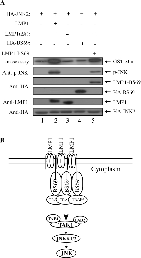 FIG. 7.