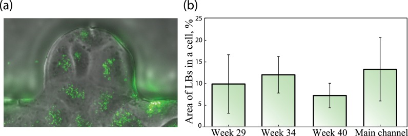 FIG. 6.