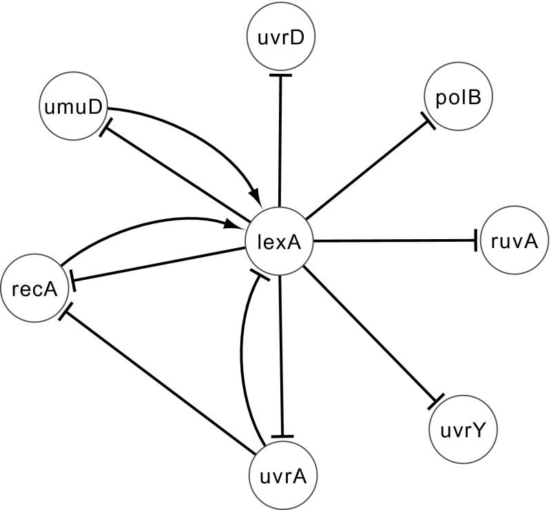 Fig. 13