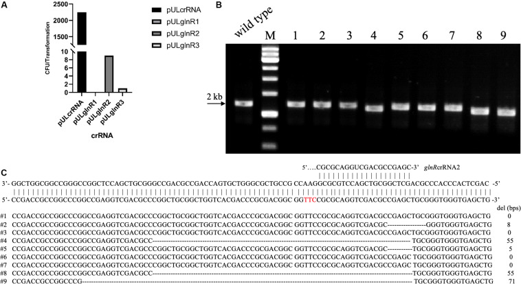 FIGURE 2