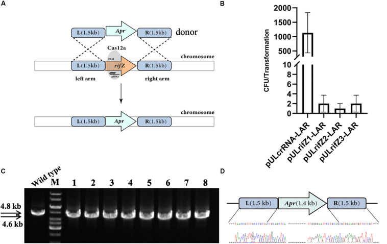 FIGURE 3