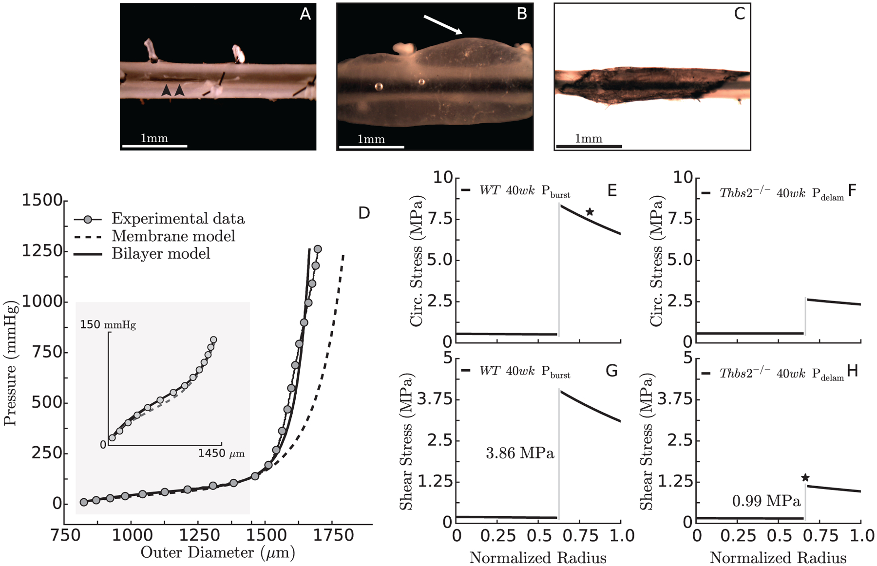 Figure 4: