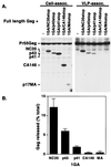 FIG. 5