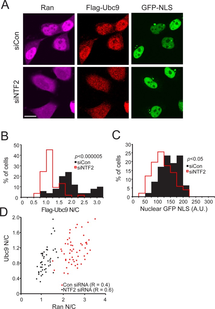 FIGURE 2: