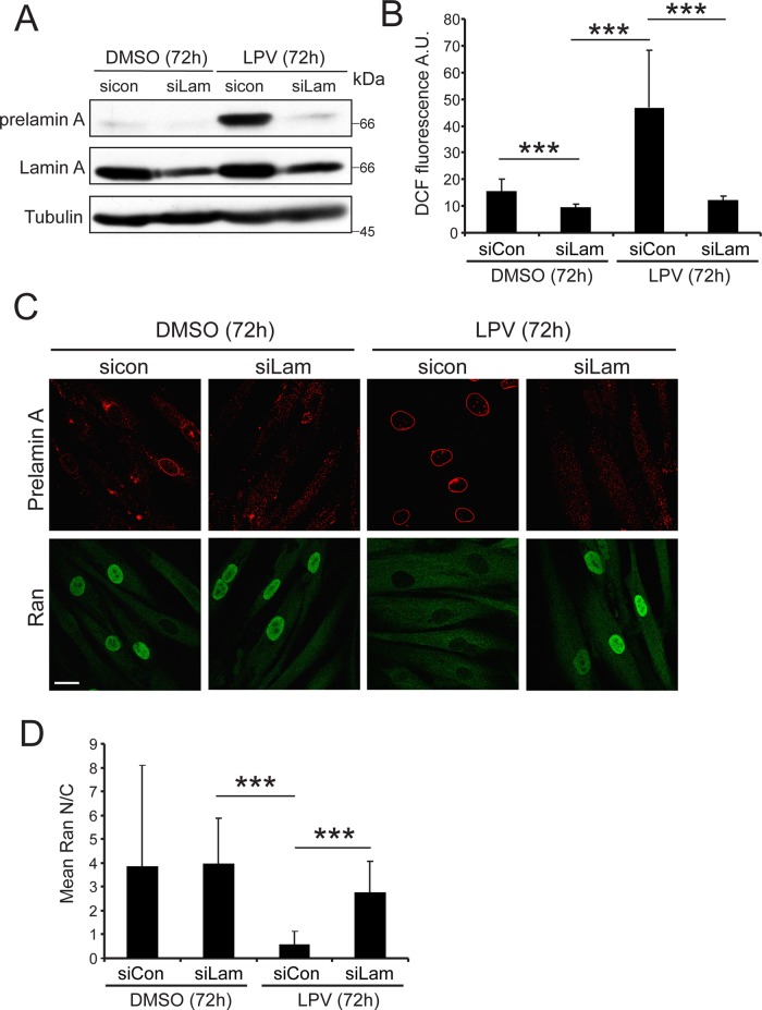 FIGURE 6: