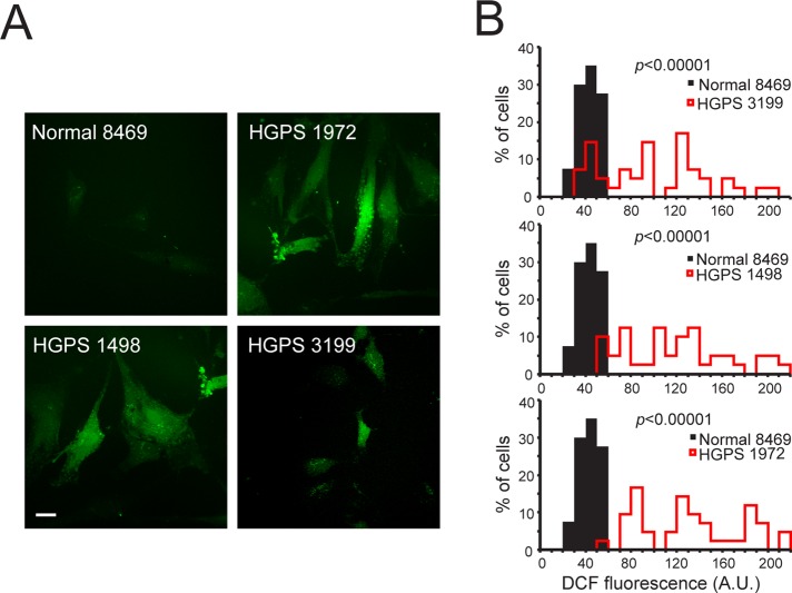 FIGURE 3: