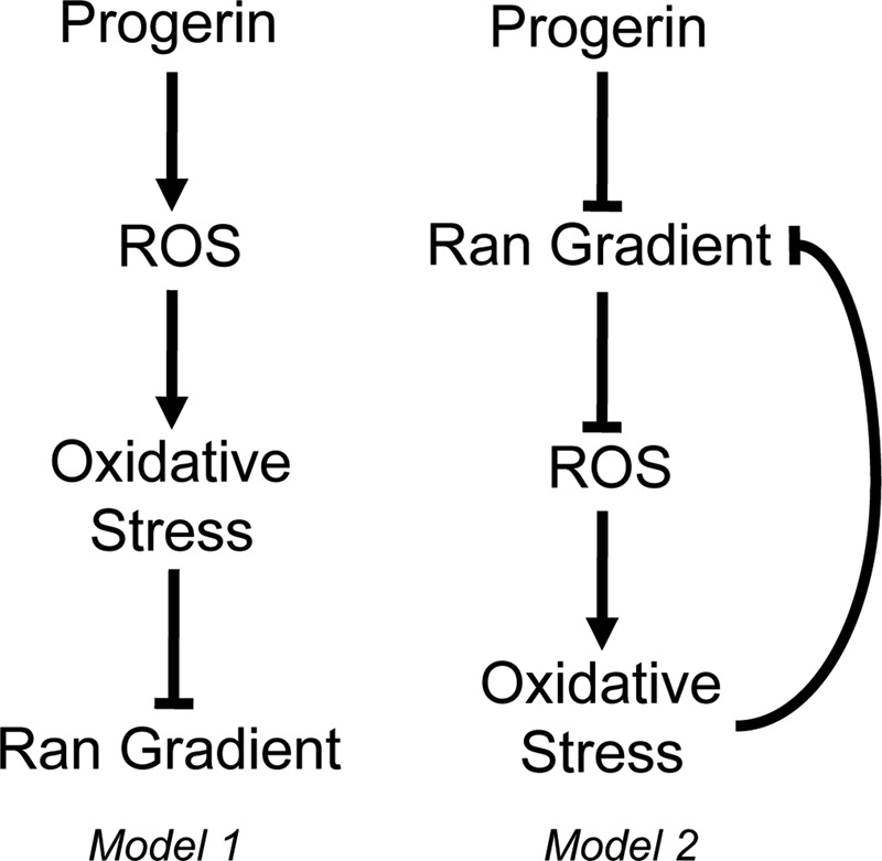 FIGURE 10: