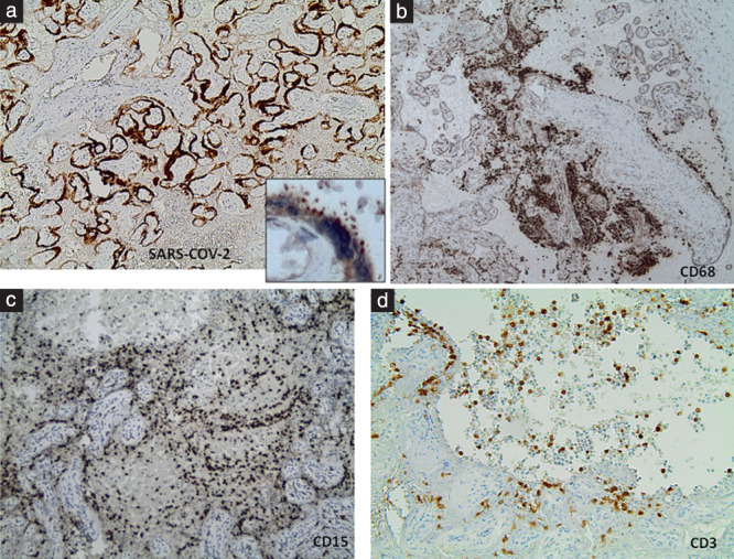 UOG-24906-FIG-0003-c