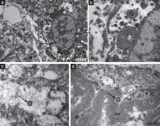 UOG-24906-FIG-0005-b