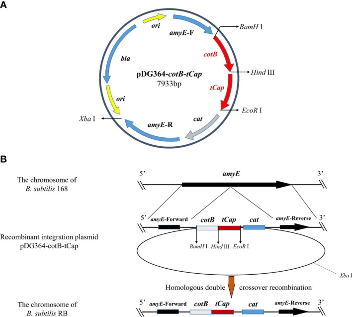 Figure 2