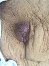 Figure 1: