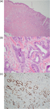 Figure 3: