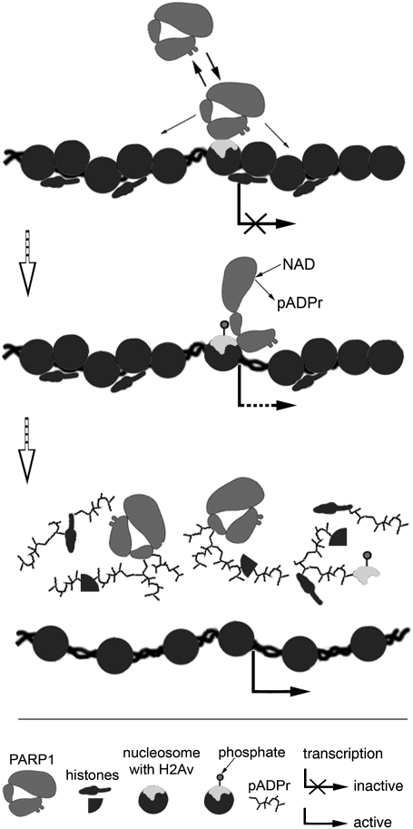 Fig. 5.