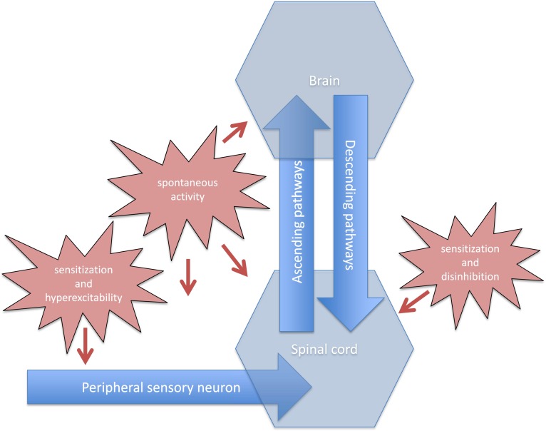 FIG. 1.