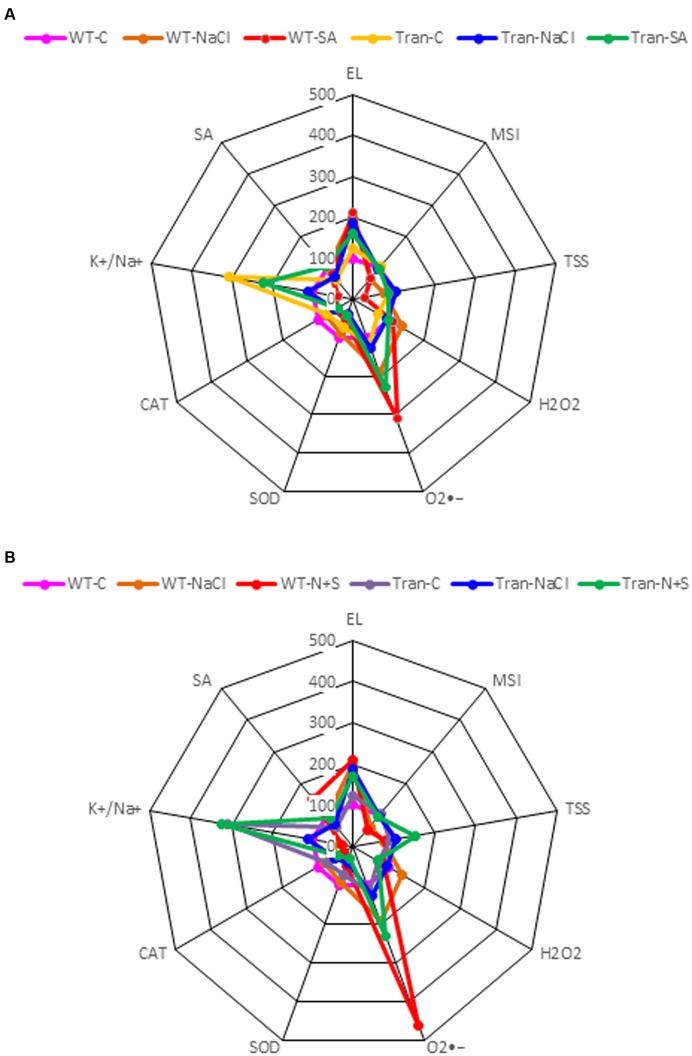 FIGURE 9