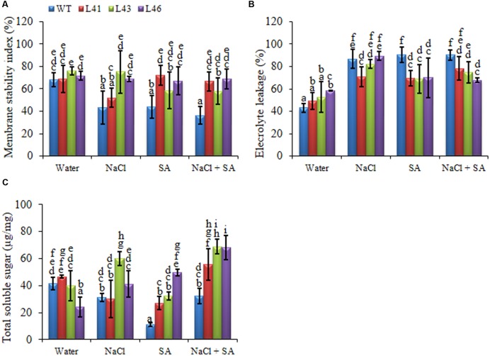 FIGURE 4