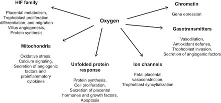 FIGURE 9.