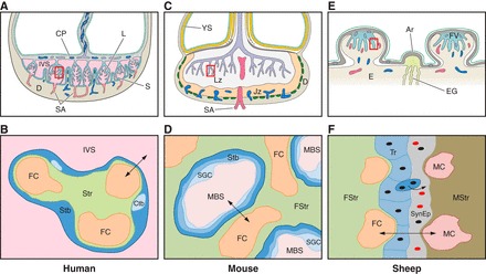 FIGURE 3.