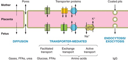 FIGURE 2.