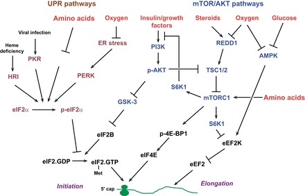 FIGURE 10.