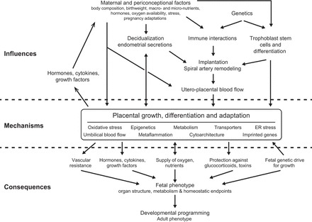 FIGURE 11.