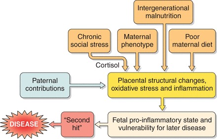 FIGURE 7.